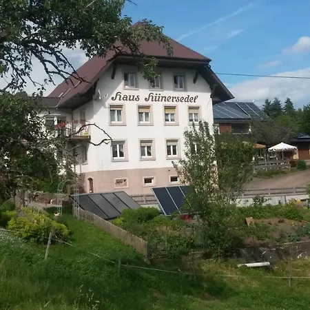 Апартаменты S' Plaetzli