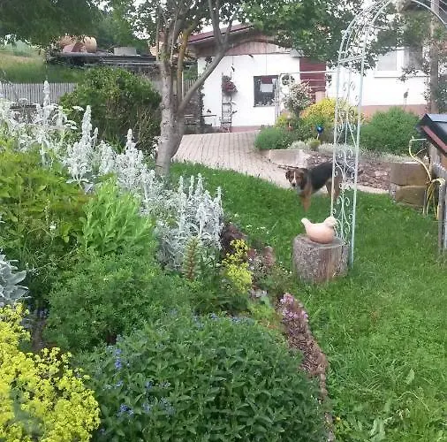 Lägenhet S' Plaetzli Freiamt